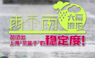 雨雨雨，大雨滂沱，却试出上海“菜篮子”的稳定度！