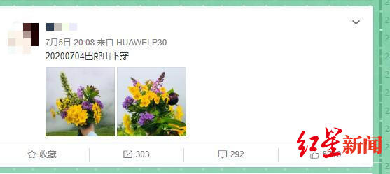 巴郎山上采了一束花 数百网友喝止 住手 那是西藏杓兰