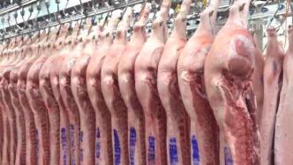 华储网：2万吨中央储备冻猪肉将于7月10日投放竞价交易