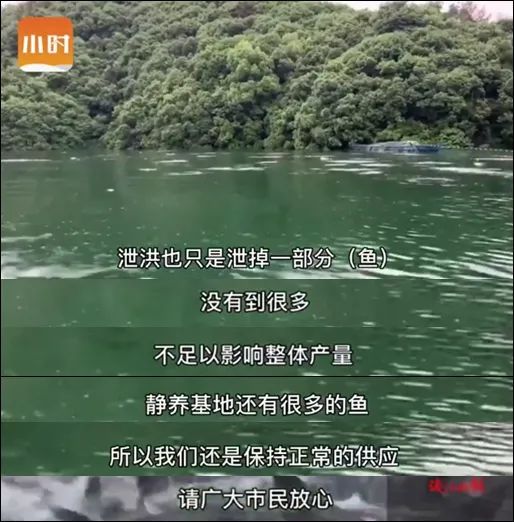 泄洪持续大量千岛湖鱼翻滚而出，千发集团因洪水已损失五千万