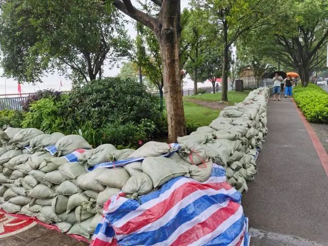 泄洪持续大量千岛湖鱼翻滚而出，千发集团因洪水已损失五千万