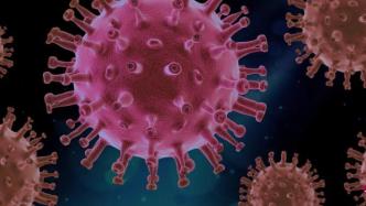 新加坡传染病学专家：空气中新冠传播率远低于麻疹水痘