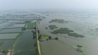 湖北第三大湖泊超出历史最高水位，防汛部门已下达分洪预通知