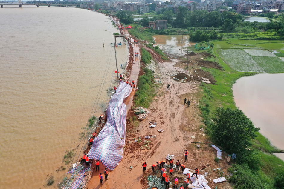 7月11日，抢险人员在堤坝上给防水墙铺设防水布，防止河水侵蚀墙体（无人机照片）。