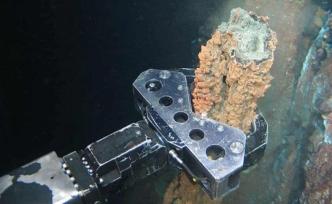 国际研究团队警告：深海采矿对海洋环境和生态影响不容忽视