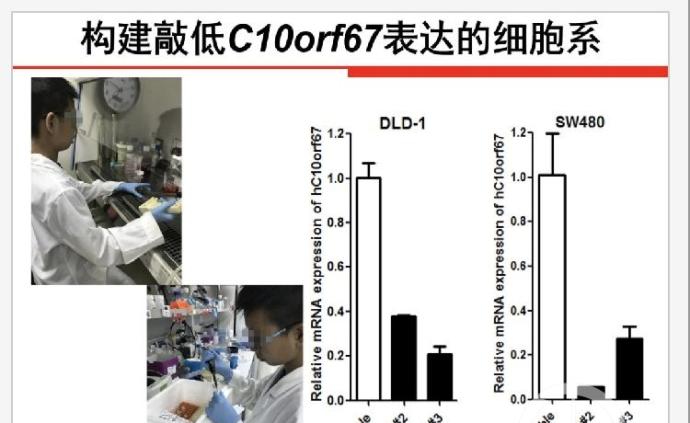 云南小学生“癌症研究”获全国大奖引质疑，其父为研究员