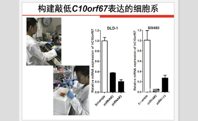 小学生研究“癌症基因“获全国大奖，云南科协成立调查组