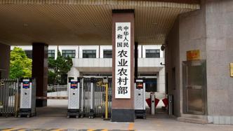 農業農村部：長江禁捕可改變漁民“下水無魚、上岸無地”困境