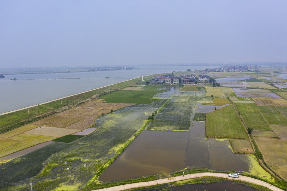 2020年7月15日，江西省鄱阳县联圩村。