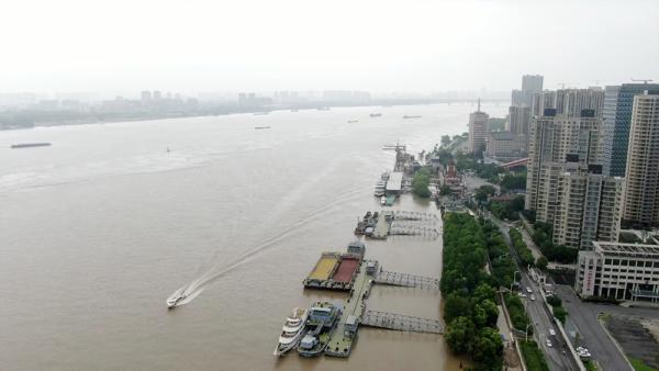 长江南京站正接近1998年最高水位