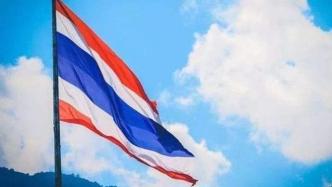 泰媒：泰国副总理和财政部长将辞职，此前出现党内派系斗争