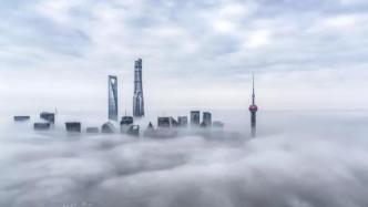 上海恢复跨省团队游机酒业务，实行“一团一报” 控制人数