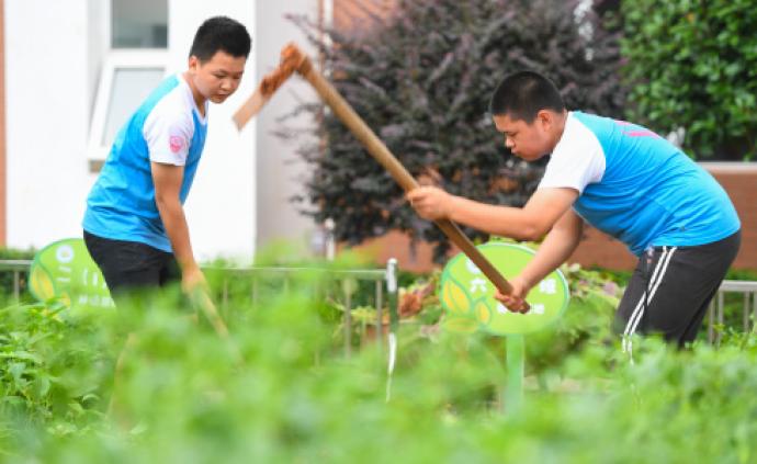 教育部：小学一二年级每周劳动时间不少于2小时