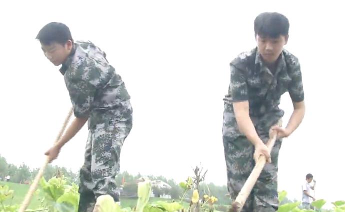 00后考生高考完参加抗洪:水不退我不回