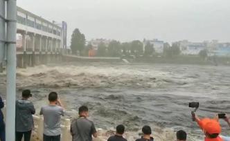 千里淮河第一闸开闸泄洪，蓄洪区村民赶着家禽、家畜撤离