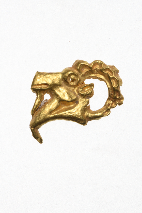 新疆发现战国时期高等级墓群实证山北六国实力