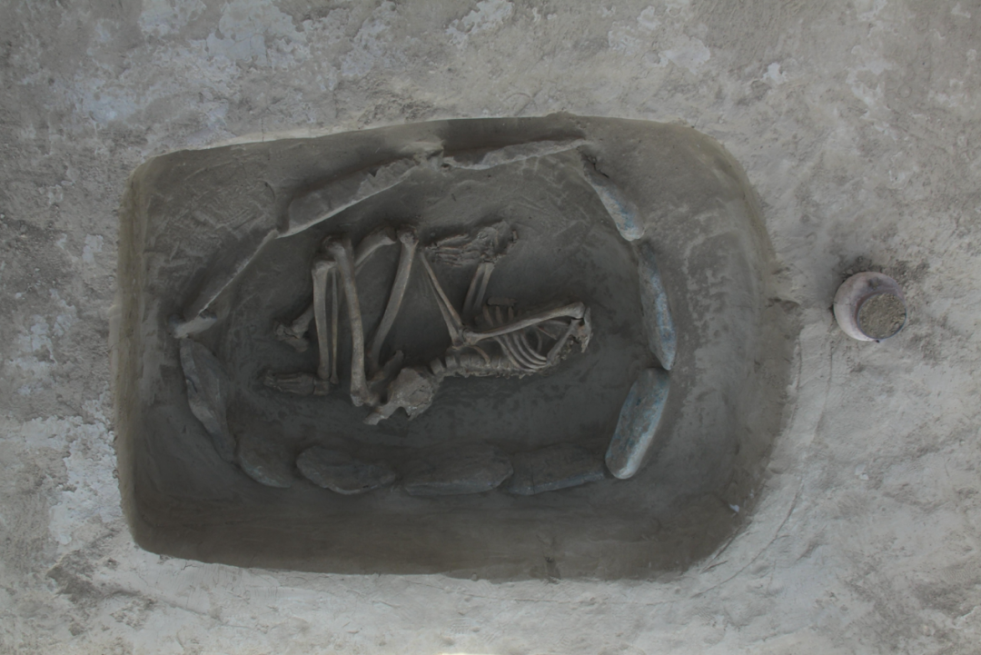 新疆发现战国时期高等级墓群实证山北六国实力