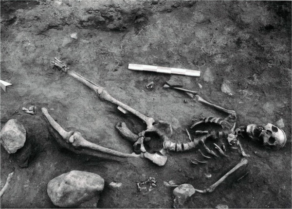 陶寺遗址出土的女性被绝嗣的尸骨