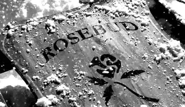 《公民凯恩》中的玫瑰花蕾