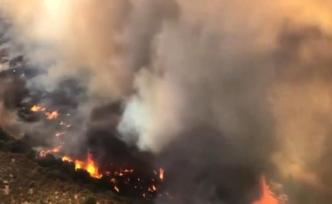 加州中部山火已持续燃烧一周，过火面积超过11400公顷
