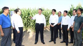 獨家視頻丨習近平：要保護好我們的黑土地