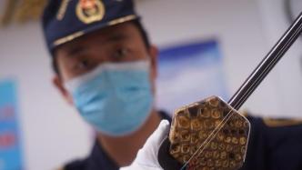 广州海关查获濒危物种蟒蛇皮制成的二胡