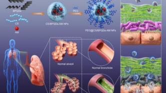 深圳先进院开发黑磷纳米药物控释载体：穿透呼吸系统粘液屏障