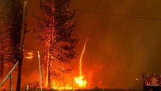 加州北部山火蔓延，过火面积达3237公顷