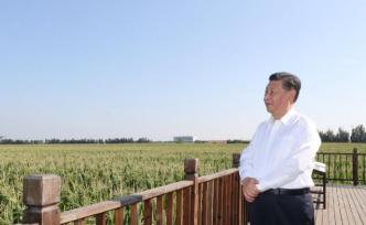 習近平吉林行丨首站來到梨樹縣國家綠色玉米生產基地