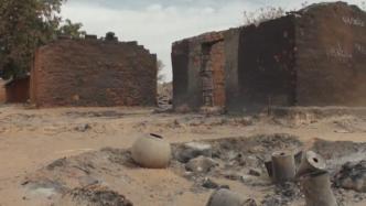 苏丹一村庄遭武装分子袭击，60余人丧生