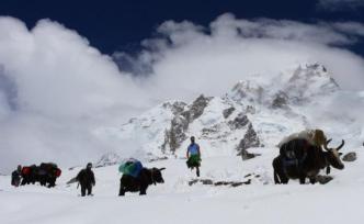 喜马拉雅山登山活动重新开放，尼泊尔正逐步解封