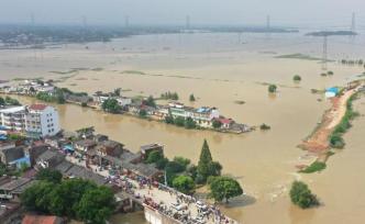 安徽庐江：洪涝灾害导致全县80%以上蔬菜基地受损严重