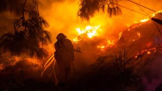 3682起！全球最大热带湿地火灾频发