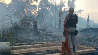巴西监测机构：亚马孙地区今年以来71%毁林烧荒地区变农田