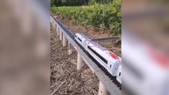 大学生小树林建高铁模型：全长70米，还有“跨江大桥”