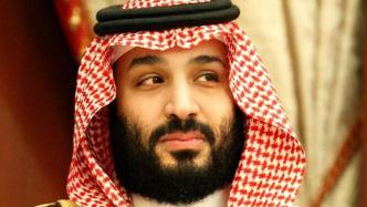 沙特前情报官在美起诉沙特王储：我差点成为第二个卡舒吉