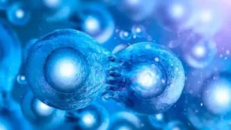 如何推动干细胞产业化？质量标准和临床准入规范亟待制定