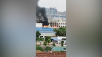 全国最大槟榔生产厂一仓库起火，官方通报：无危化品影响