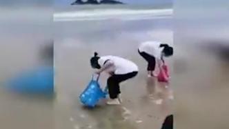 广东一海滩出现大量死鱼，相关部门：致死原因不明最好不要吃