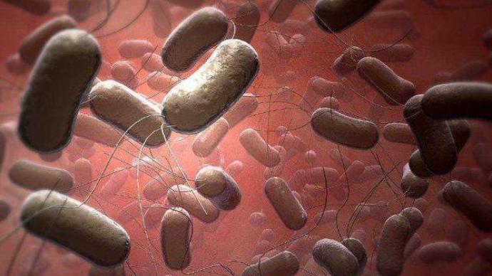 美国洛杉矶确诊当地今年首例因西尼罗病毒死亡病例