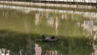 福州晋安河一具漂浮女尸身份无法确认，警方已介入