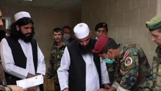 阿富汗释放80名有争议塔利班在押人员