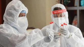 ​印度媒体：研究人员发现73个新冠病毒毒株的新型变种