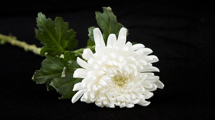 中央军委巡视组原正军职巡视专员黎国如逝世,享年65岁