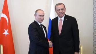 普京与埃尔多安通话，讨论利比亚和叙利亚局势