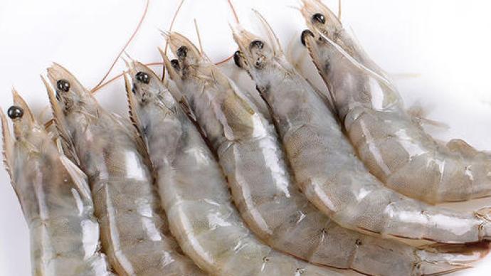 关于厄瓜多尔冷冻生南美白虾排查处置情况的通报