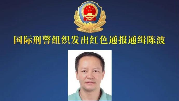 国际刑警组织红色通报通缉一汉中籍恶势力团伙头目,悬赏五万元