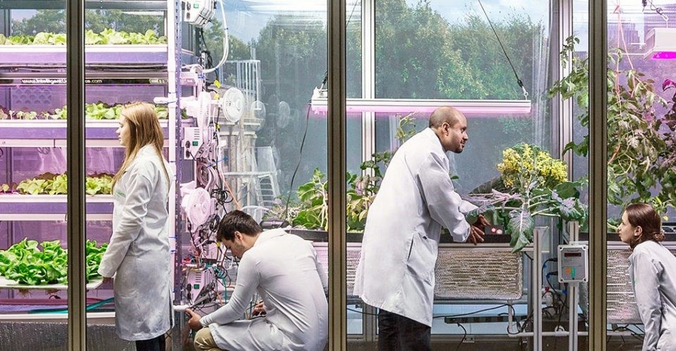 MIT Media Lab、Target、IDEO联合成立未来食物实验室,研究课题包括城市空间室内垂直种植。