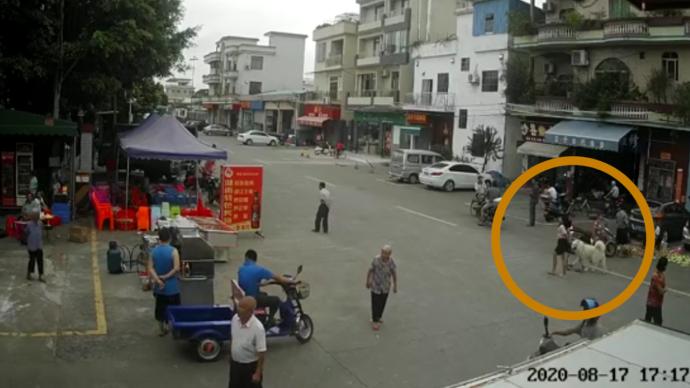 探访老人被狗绳绊倒身亡现场，邻居：同家另一条狗曾咬伤人