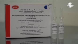 墨西哥：预计9月获得至少2000剂俄罗斯疫苗